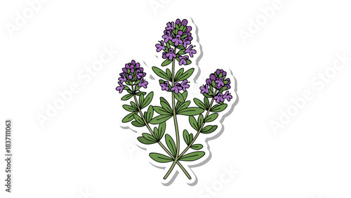 Cluster of Delicate Purple Flowers with Green Leaves and Stems Against a Stark Black Background with a Subtle Textured Overlay Evoking a Hand Drawn or Sticker Aesthetic