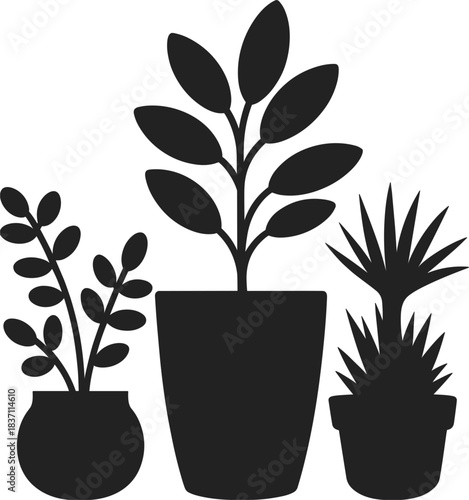 Silhouettes of three potted houseplants with varying leaf shapes potted plants indoor plants