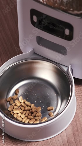 Dry kibble drops into the metal bowl of an automatic pet feeder, showing the dispensing process and precise portion delivery for convenient pet feeding
