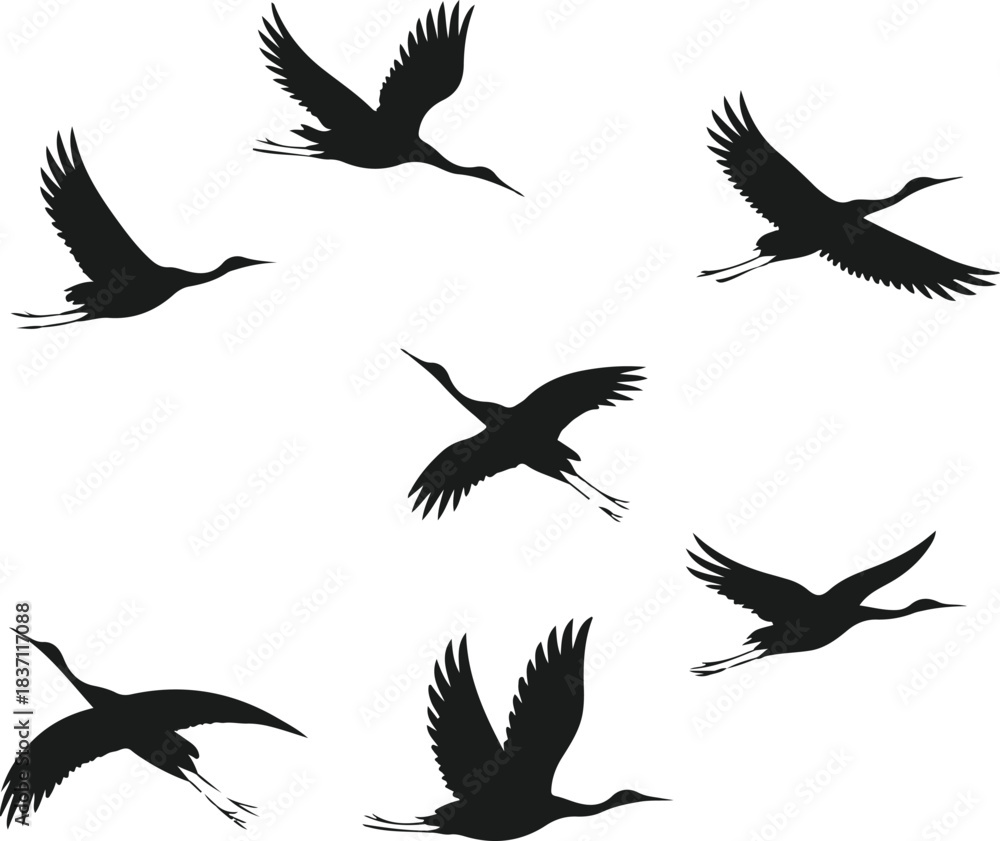 Fototapeta premium Silhouettes of Cranes in Flight
