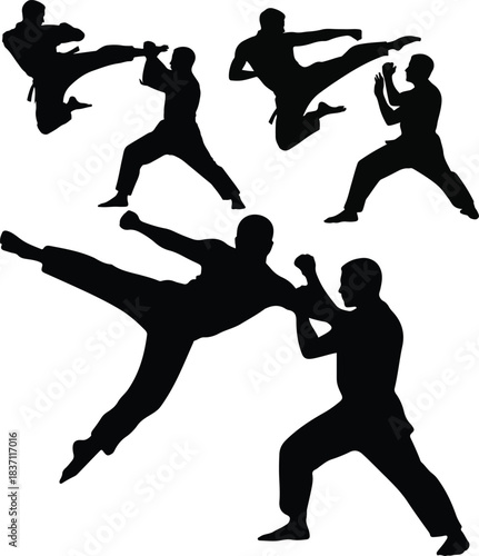 Silhouette of Martial Artists in Action