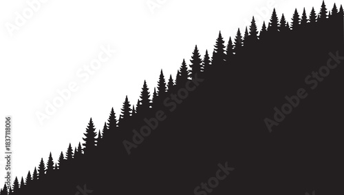 Silhouette of pine trees on a slope forest evergreen