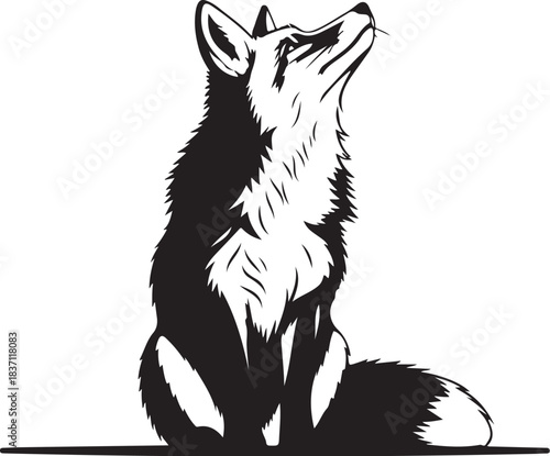 Sitting Fox Silhouette Looking Upwards animal