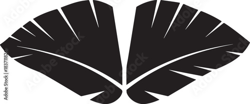 Two Fan Shaped Leaves Black and White Silhouette vector