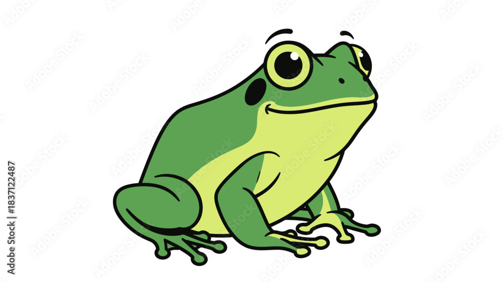Obraz premium frog vector