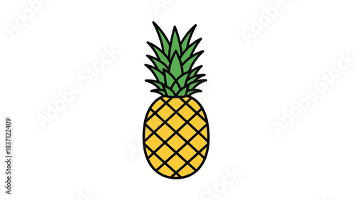 pineapple vector illustration