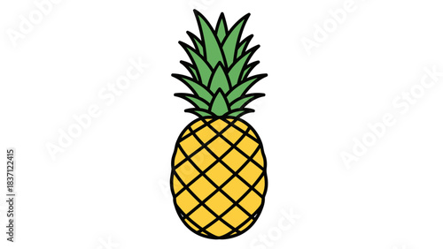 pineapple vector illustration