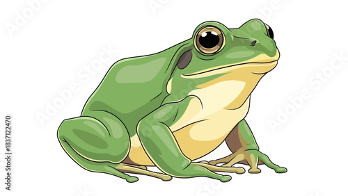 frog vector