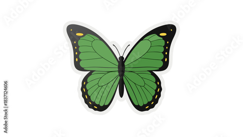 Detailed illustration of a vibrant green butterfly with black and yellow markings on its wings isolated on a black background a symbol of nature and transformation in high definition quality