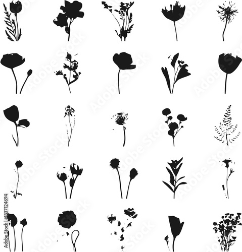 Botanical silhouettes a delicate dance of flora rendered in stark monochrome contrasts creates an