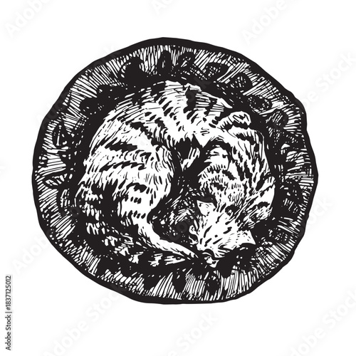 Cat sleeping in a round basket, top view, doodle black ink drawing, woodcut vector