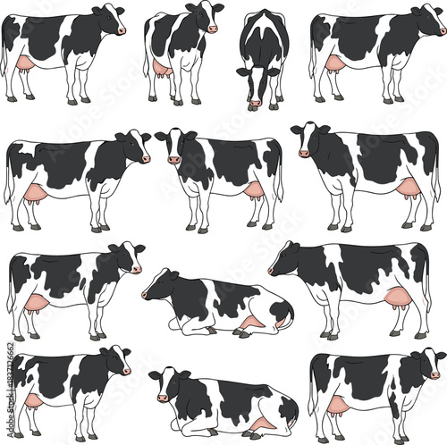 Large Vector Set of Black and White Holstein Cows in Various Poses, Including Standing and Lying Down, Ideal for Dairy Farming and Veterinary Graphic Projects.