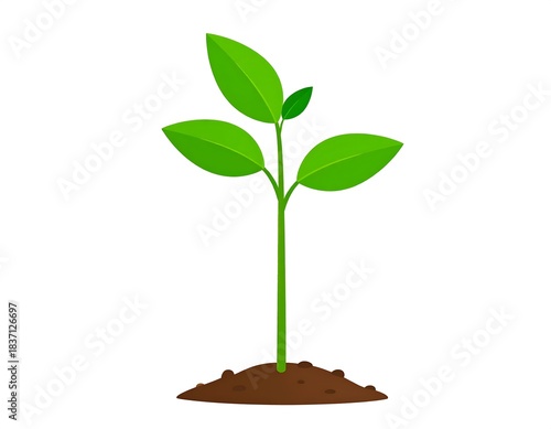 Simple vector illustration of a small green plant sprouting from a pile of earth on a white background