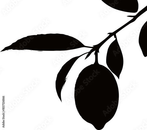 Minimalist lemon silhouette on branch conveying citrus freshness and natural simplicity