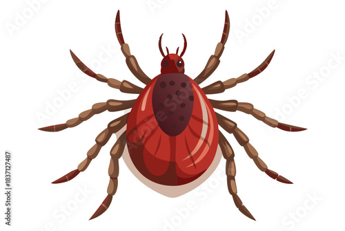 High-quality illustration of a tick insect with realistic detail and color. This vector graphic shows the tick’s body structure, legs, and texture, perfect for educational, scientific, and medical pur