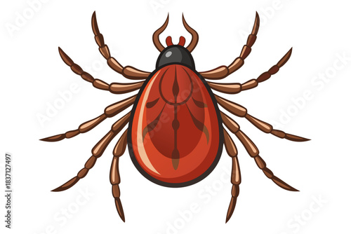 High-quality illustration of a tick insect with realistic detail and color. This vector graphic shows the tick’s body structure, legs, and texture, perfect for educational, scientific, and medical pur