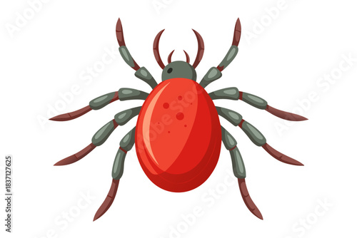 High-quality illustration of a tick insect with realistic detail and color. This vector graphic shows the tick’s body structure, legs, and texture, perfect for educational, scientific, and medical pur