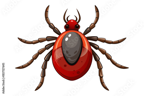 High-quality illustration of a tick insect with realistic detail and color. This vector graphic shows the tick’s body structure, legs, and texture, perfect for educational, scientific, and medical pur