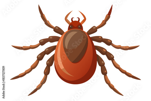 High-quality illustration of a tick insect with realistic detail and color. This vector graphic shows the tick’s body structure, legs, and texture, perfect for educational, scientific, and medical pur