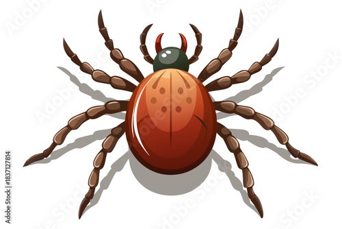 High-quality illustration of a tick insect with realistic detail and color. This vector graphic shows the tick’s body structure, legs, and texture, perfect for educational, scientific, and medical pur