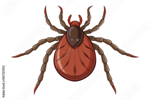 High-quality illustration of a tick insect with realistic detail and color. This vector graphic shows the tick’s body structure, legs, and texture, perfect for educational, scientific, and medical pur