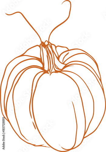 Elegant pumpkin outline illustration with artistic flair in a minimalist style artwork