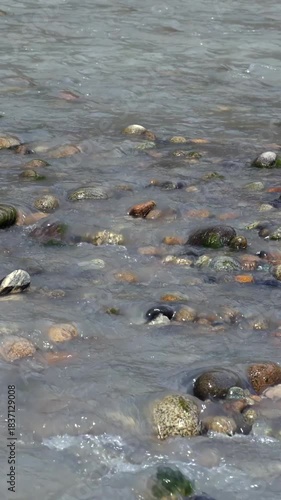 Clear Water Of A Shallow Stream Or River Flows Gently Over Smooth, Rounded Rocks And Pebbles. Natural, Peaceful Scene Of A Freshwater Current. Vertical