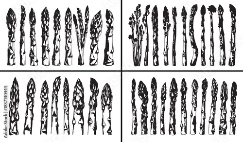 Asparagus Vegetable Vector, Fresh Organic Food, Healthy Green Design, Farm Product Illustration, Natural Ingredient Vector, Culinary Vegetable Clipart, Eco Food Symbol Art, Vegan Ingredient Design, Nu