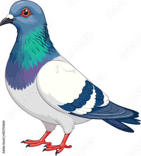 Detailed pigeon illustration featuring blue, green and violet iridescent feathers, ideal for wildlife artwork, urban nature projects, educational visuals, bird-watching themes
