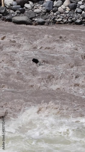 Close Up Of A Fast-Flowing Muddy River Current Interacting With Turbulent Whitewater Rapids. Powerful Natural Force. Detail Of Water Texture And Motion. Vertical