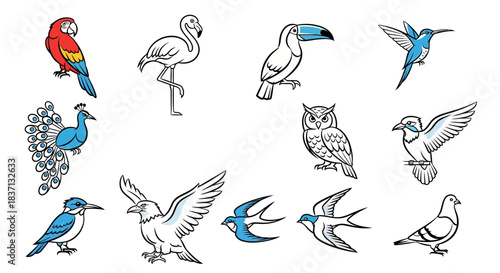 A diverse collection of bird illustrations, featuring colorful parrots, blue hummingbirds, peacocks, and various outlined birds like flamingos, toucans, owls, and pigeons.