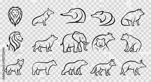 Collection of outlined animal silhouettes arranged in a grid featuring various wild mammals and big cats.
