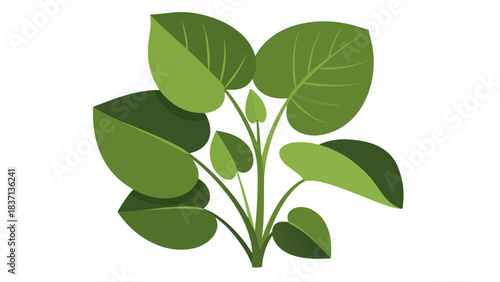 Green plant with large oval leaves and thin stems against a black background with a white outline symbolizing nature and growth