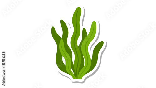 Green Seaweed Plant Detailed Illustration With White Border On Black Background Underwater Marine Life Flora Healthy Ecosystem Botanical Element
