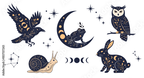Mystical set of celestial animals including a raven, owl, rabbit, frog, and snail with moon phases, stars, and constellations.