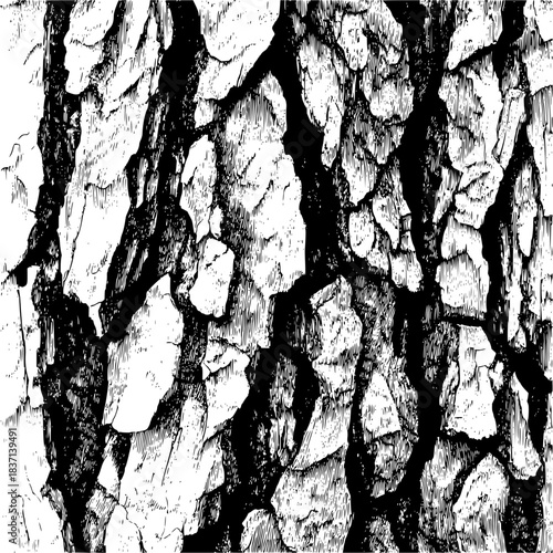 Monochrome bark texture displaying a closeup of the rugged and detailed surface of tree bark, creating a natural and organic background element for designs