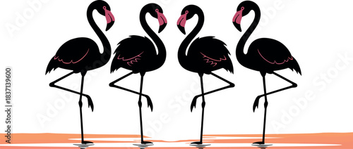 Stylized flamingos standing in colorful water, elegant bird silhouette vector illustration for decor, logo, editorial, tattoo, and nature-themed design use