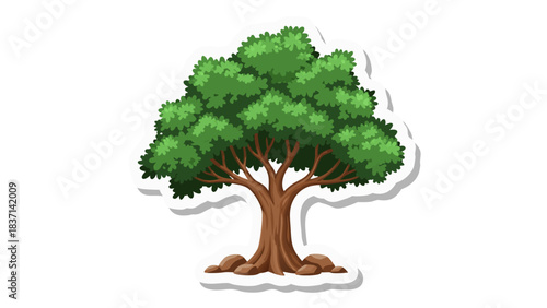 Isolated Green Tree With Brown Trunk And Thick Branches On A Black Background With White Border And Small Rocks At The Base