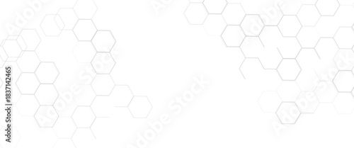 Vector Modern Tech Hexagon Network Corner Background