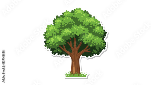 Lush Green deciduous Tree with Thick Brown Trunk and Dense Leafy Canopy Set Against a Stark Black Background with Subtle White Outline and Small Patches of Green Grass at the Base