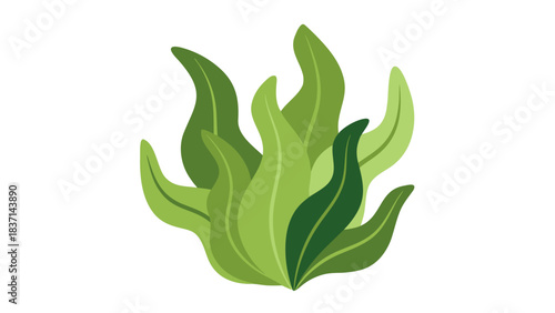 Lush Green Tropical Plant Foliage With Various Shades Of Green Against A Solid Black Background Simple Botanical Illustration With Smooth Curves And Detailed Leaf Shapes