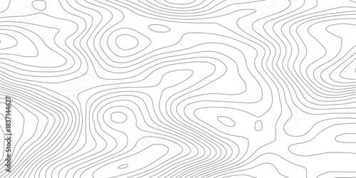 Abstract topographic map lines background. Abstract vector illustration.