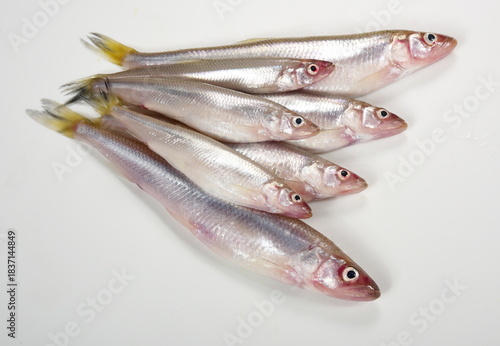 Bild auf Leinwand Fresh smelt on a white background. Pond smelt (Hypomesus olidus)