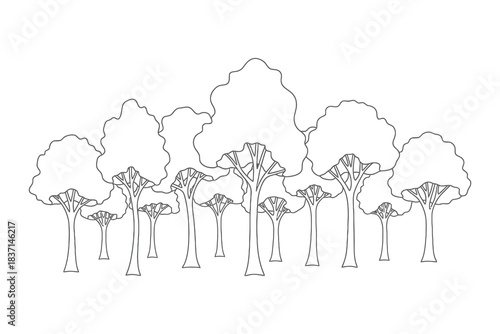 Stylized outline of a majestic forest canopy and tree trunks