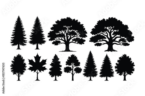 Collection of silhouetted trees featuring conifers and deciduous varieties