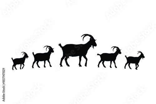 Silhouette of a herd of goats standing in a line against a white background