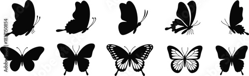 White blank t-shirt mockup, clean cotton fabric, simple presentation design, apparel advertising template, isolated plain garment fashion.