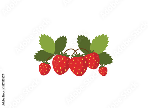Wild strawberries. Crimson forest berries. Sweet, fresh, ripe fruit loaded with vitamins. A flat vector illustration set against a white background