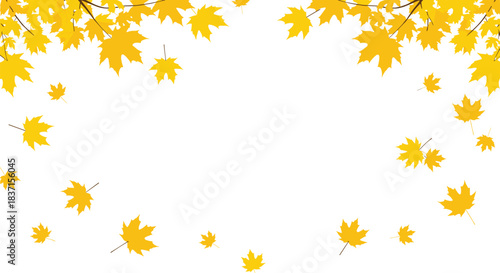 Bright yellow maple leaves on branches and falling, creating a vibrant autumn border and frame on a clean white background.