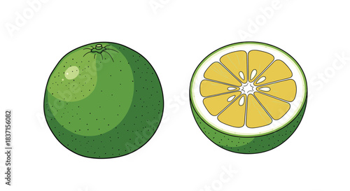 Illustration of a whole and halved green citrus fruit, revealing its bright yellow pulp and segmented interior with seeds.